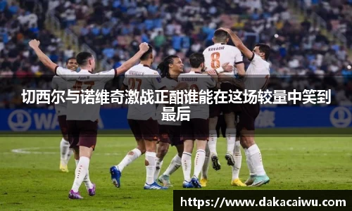 切西尔与诺维奇激战正酣谁能在这场较量中笑到最后